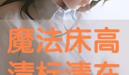 魔法床在线观看,奇幻梦境之旅